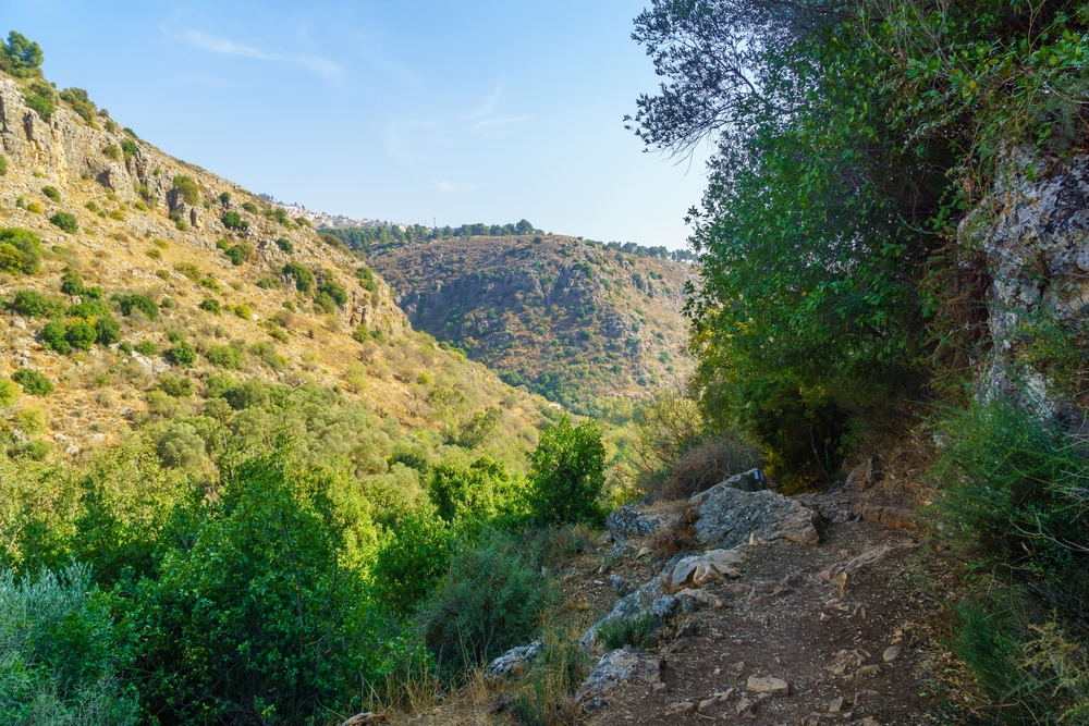 Amud Stream campsite